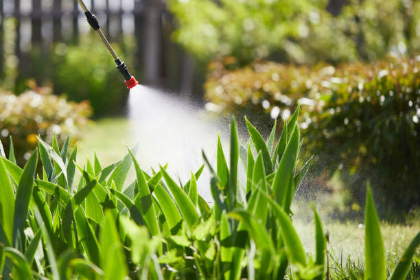 24/7 Emergency Mosquito Control experts in Glasco, NY